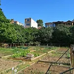 Lovely Flat In Greens At The Heart Of Kuzguncuk