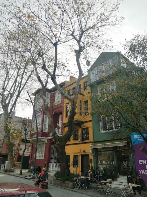 Lovely Flat In Greens At The Heart Of Kuzguncuk *