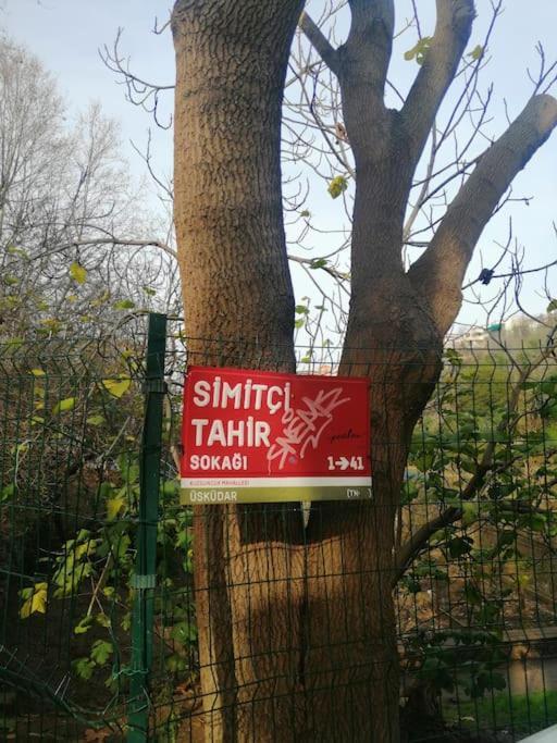 Lovely Flat In Greens At The Heart Of Kuzguncuk *