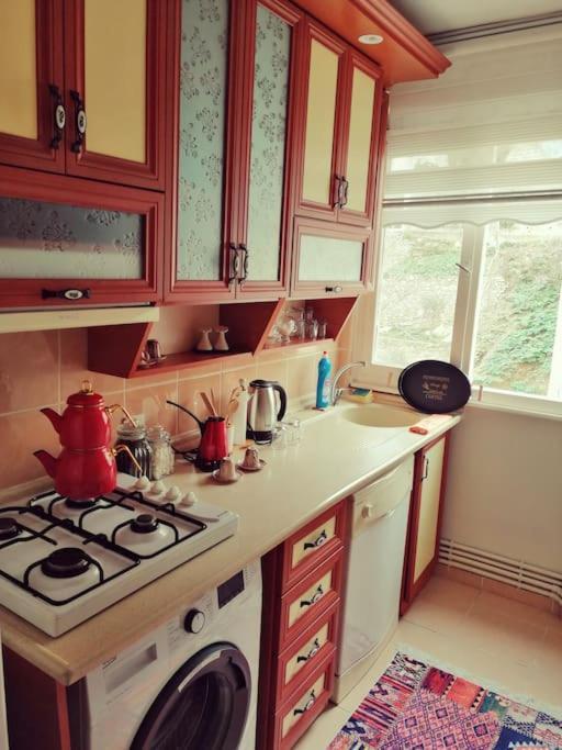 Lovely Flat In Greens At The Heart Of Kuzguncuk * İstanbul
