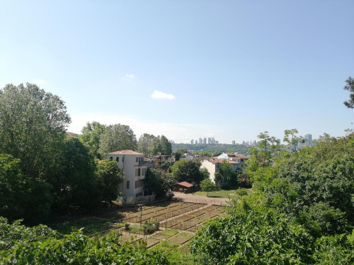 Appartement Lovely Flat In Greens At The Heart Of Kuzguncuk