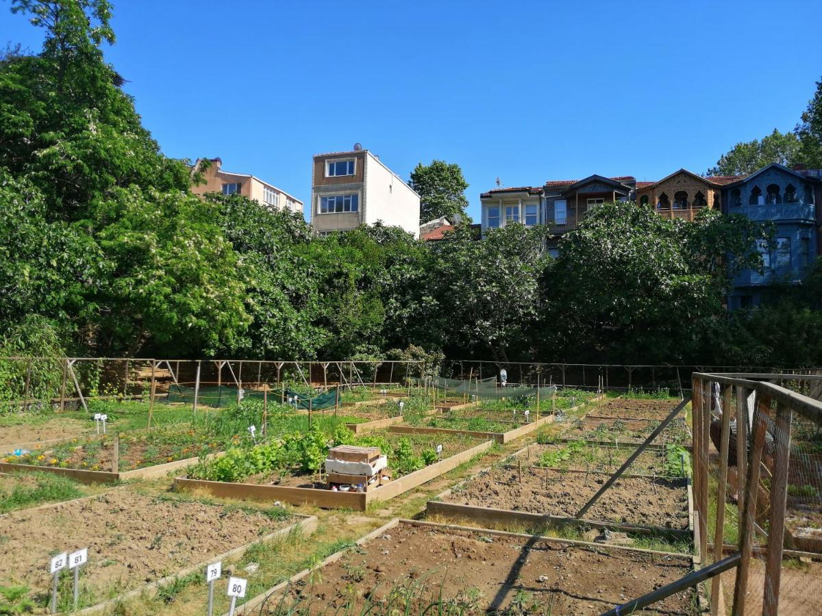 Lovely Flat In Greens At The Heart Of Kuzguncuk Appartement Istanboel